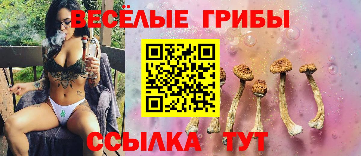 Псилоцибиновые грибы прущие грибы  Вход с VPN  Галлюциногенные грибы Magic Shrooms  Москва 