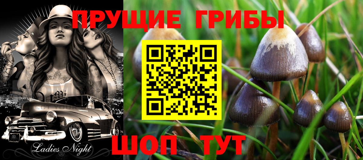 Галлюциногенные грибы Cubensis Москва