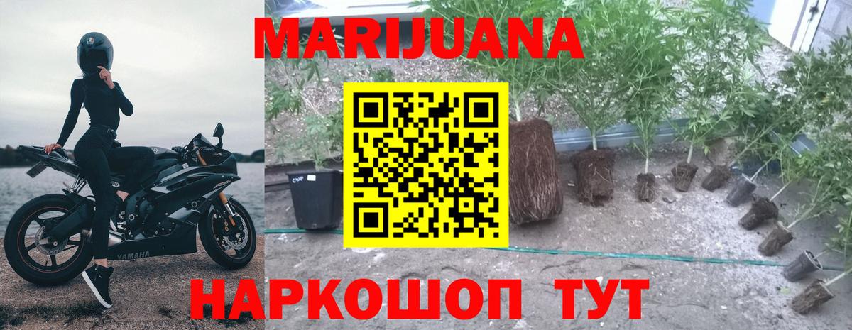 Каннабис марихуана Москва